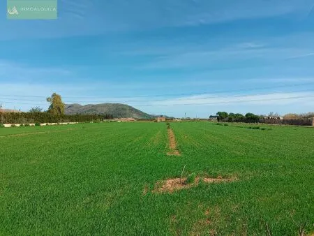 Rural Land - Sa Pobla, Built Surface 9m², Plot Surface 9055m² — photo 1
