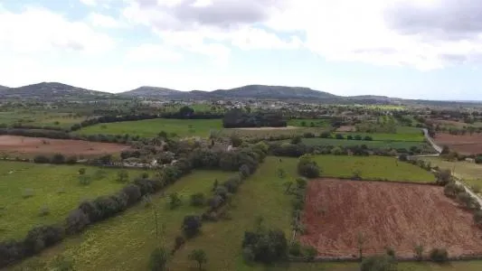 Urbanizable land - Felanitx (SHorta - Cas Concos des Cavaller) — photo 1