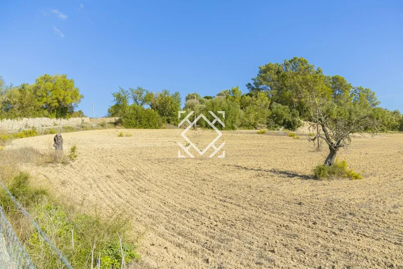 Exclusive rustic plot for sale in Costitx with project for a house and swimming pool, in the heart of Mallorca. — photo 11