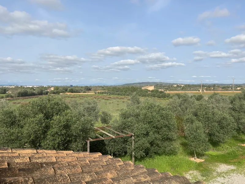 Country house with a stone façade, pool, and olive plantation in Llucmajor — photo 12