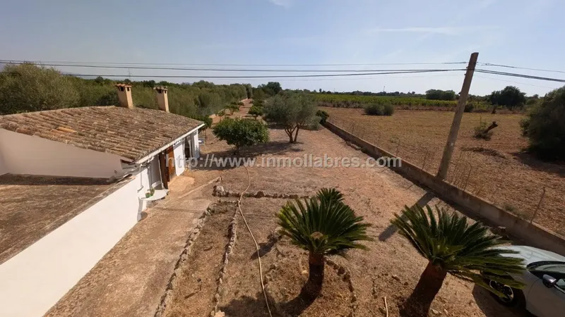 Finca Rústica con Vivienda en Biniali - Sencelles — photo 3