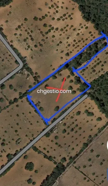 Plot in Campos — photo 1