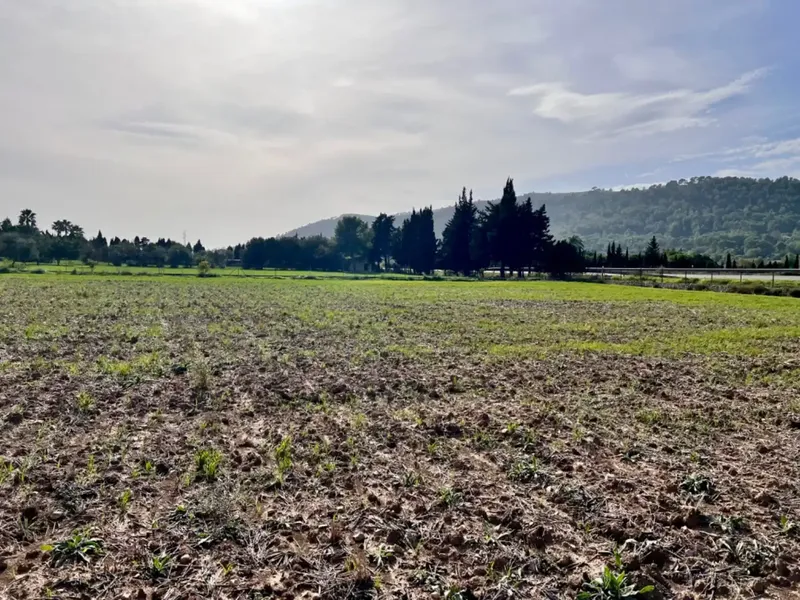 On the outskirts of Alcudia, we have this finca of about 12,900 m2 of land, with a water well, fenced finca, with 1 building in ruins. — photo 6