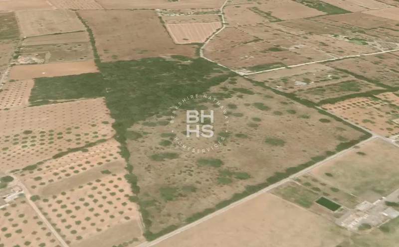 Country plot for sale in Inca — photo 5