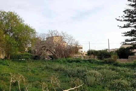 Building Site - Santanyí (Alquería Blanca - Calonge) — photo 4