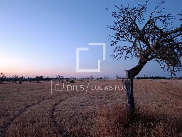 19,544m² plot with 19,544m² garden for sale in Campos — photo 3