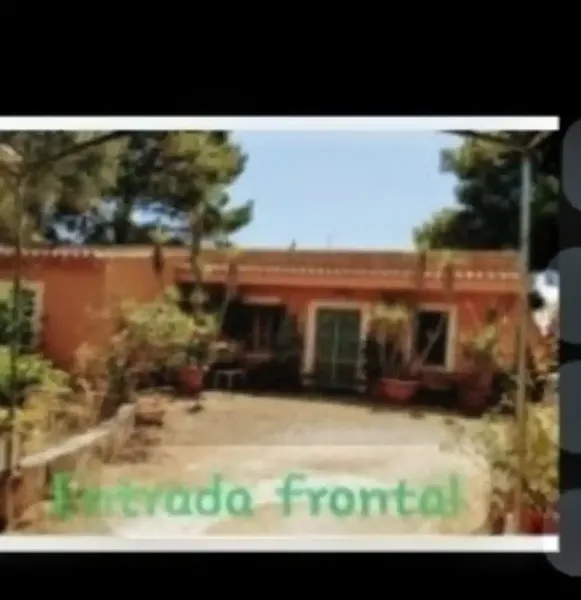 Rustic finca for sale on the outskirts of Inca — photo 2