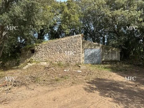 Rustic plot with possibility to build near Artà — photo 1