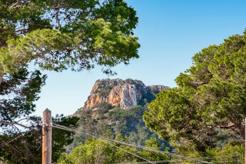 Chalet in Cala Millor with 7 bedrooms and a large plot — photo 11