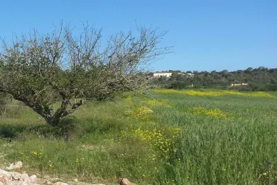 4-Bedroom Villa with Pool and Vineyard in Spain — photo 1