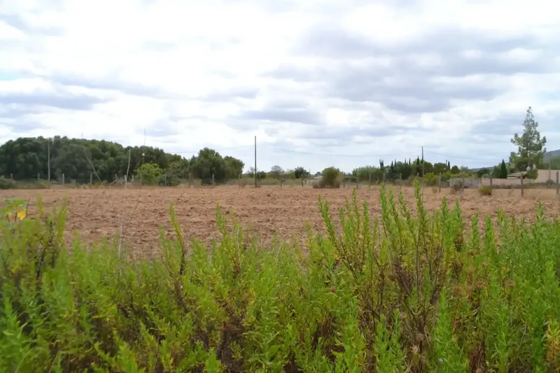 In Campanet, finca of about 14,270 m2 of land, completely fenced, with several water wells, town water and Gesa electricity. Views to — photo 2