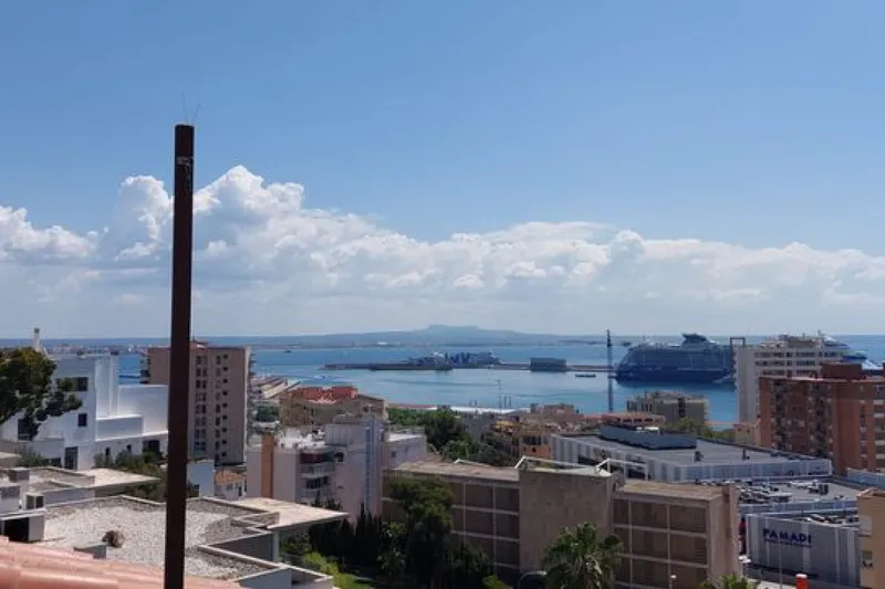 Penthouse duplex with sea view in Bonanova-Porto Pi — photo 1