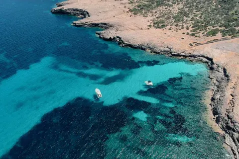 Land in Son Servera, Mallorca — photo 3