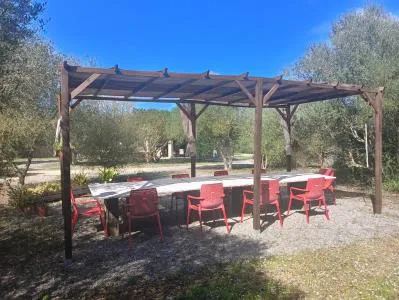 Country House - Manacor (Manacor Centro) — photo 10