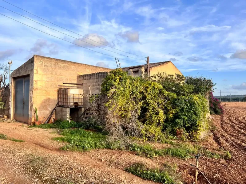 Rustic estate for sale, between Llubí and Muro, about 39,000 m2 of land, with several constructions, a large safareig, an agricultural warehouse and — photo 5