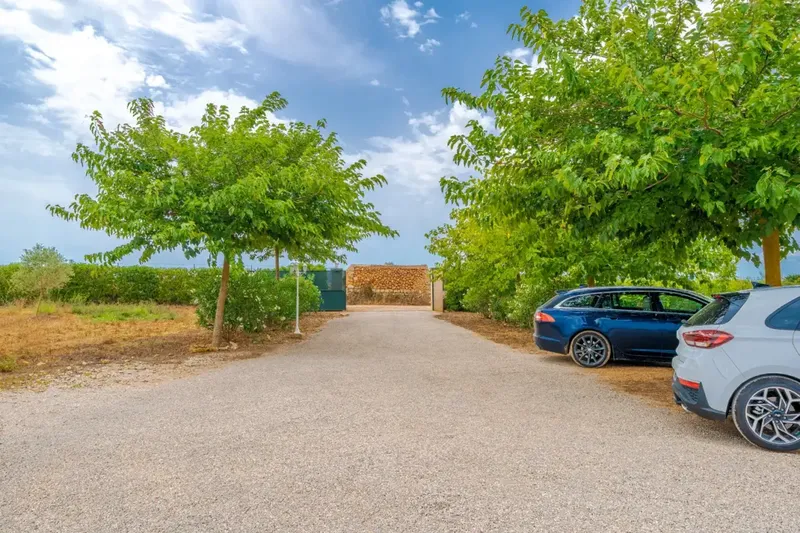 Finca for rent in Felanitx — photo 3