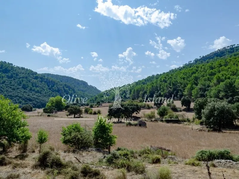 Rural or Farmhouse in Bunyola, Province of Balearic Islands — photo 12