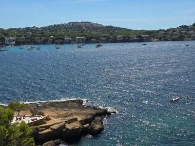 Apartment - Calvià (Santa Ponsa) , Built Surface 45m 2 , 1 Room, 1 Bathrooms, 20 Distance to the sea, Lift, Pool,... — photo 2