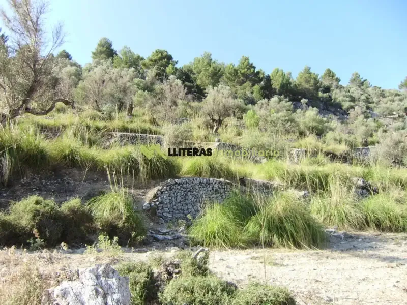 Fantastic estate in the Orient area with incredible panoramic views of the Serra de Tramuntana, located in an elevated and idyllic spot surrounded — photo 10
