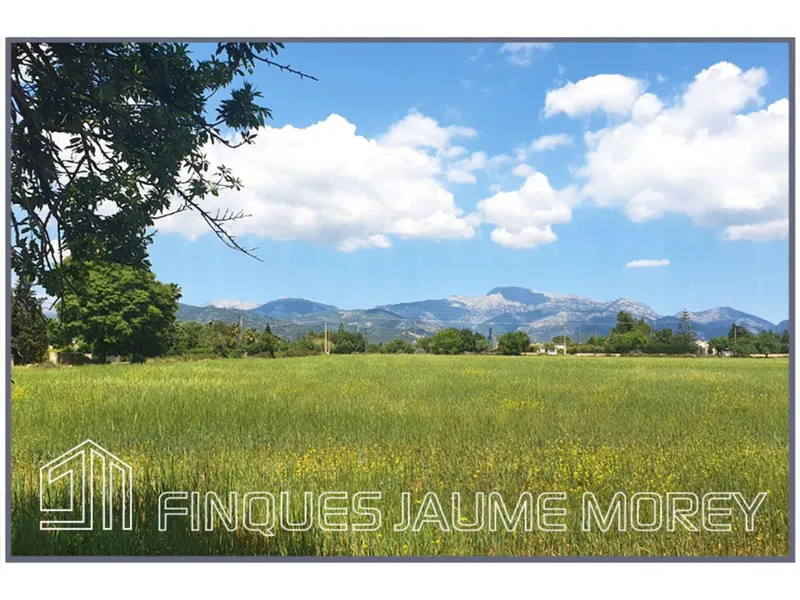 Land — photo 11