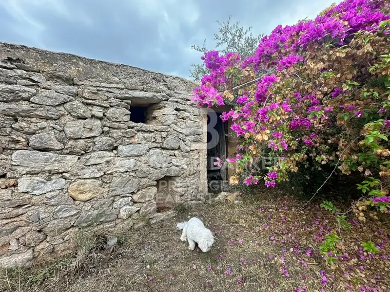 Immerse yourself in the essence of the most authentic Mallorca with this extraordinary estate, a treasure of history and Mallorcan rural charm. — photo 3