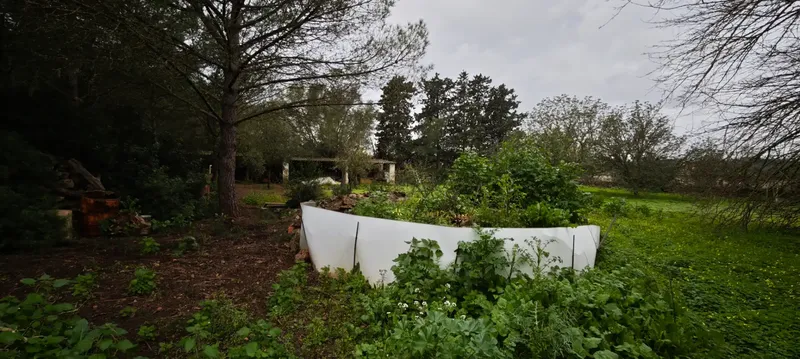 Rustic estate of 10,735 m² located in the municipality of Sencelles, accessed from the old road of Sineu. On the estate there is a house — photo 10