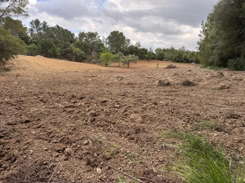 Rustic finca for sale in Selva with unbeatable views of the Serra de Tramuntana mountains — photo 3