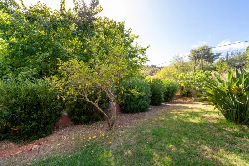 Esporles, sensational finca with pool and wonderful outdoor area in Esporles — photo 5