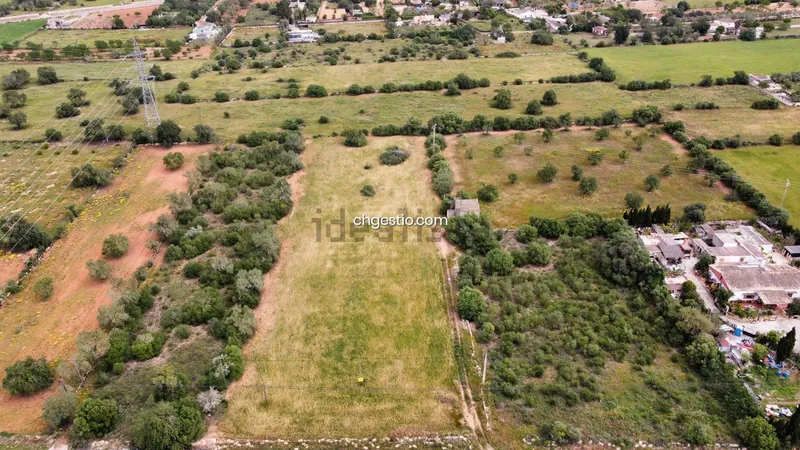 Plot in Llucmajor — photo 8