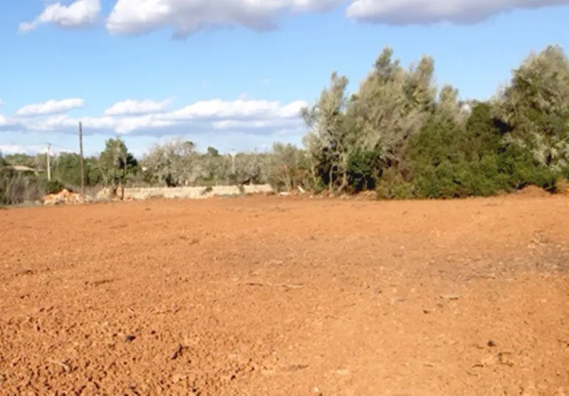 Country Plot of Land between Campos and Felanitx — photo 4