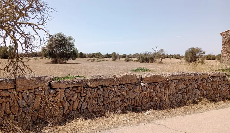 Mallorca 41k m² Estate with Approved Plans in Santanyi: Complete Package — photo 2