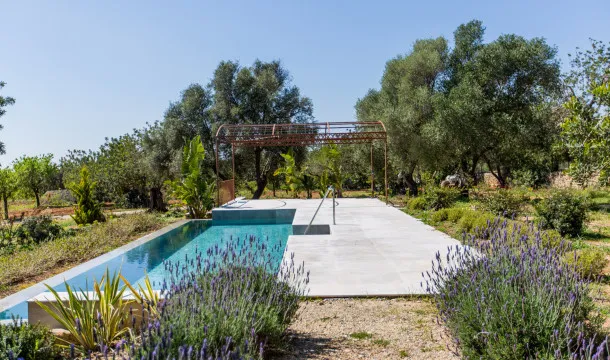 New finca with wonderful views between Santa Maria and Alaró — photo 9