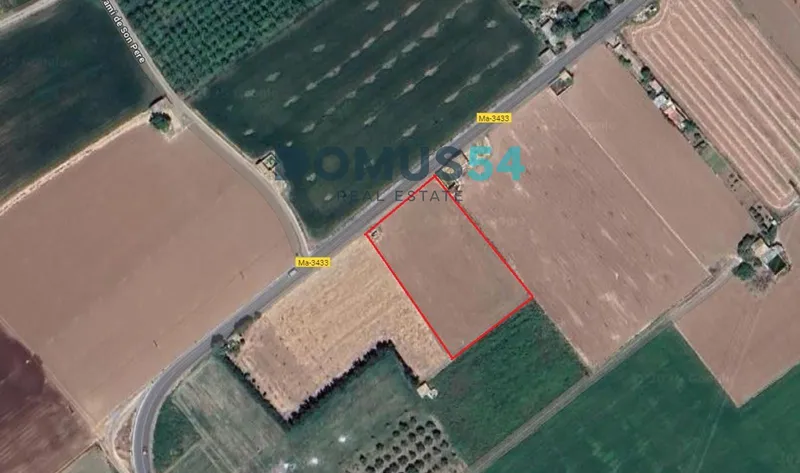 plot in Sa Pobla — photo 3