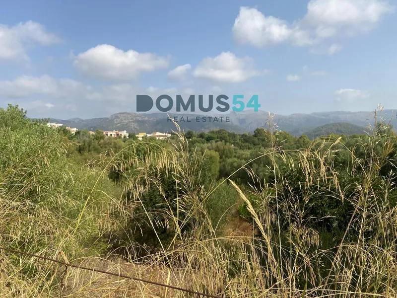 Urban plot in Campanet — photo 1