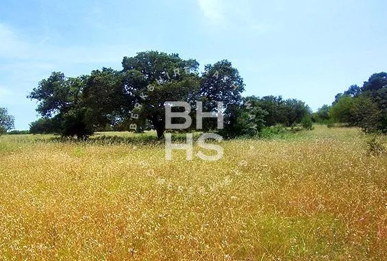 Country plot for sale in Inca — photo 1