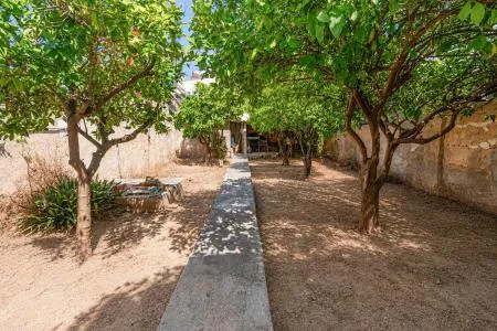 Terraced house - Palma de Mallorca (L'Olivera - Amanecer) — photo 8