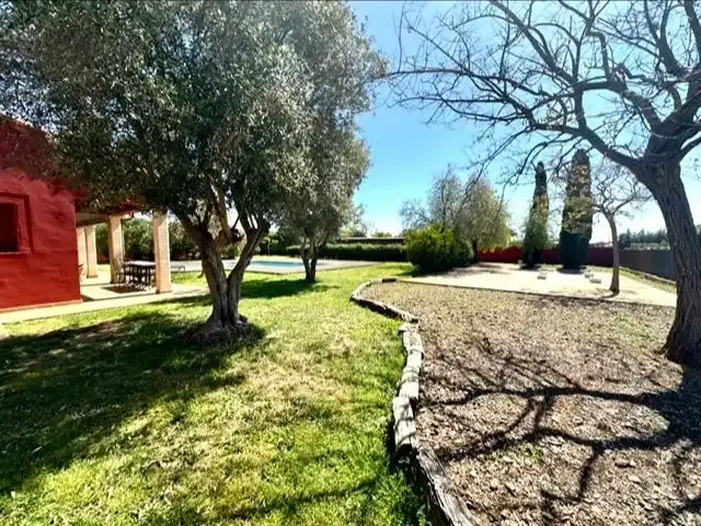 Detached house in the prestigious residential area of Sa Planera, 10 minutes from Palma — photo 4