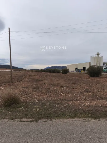 Plot — photo 2