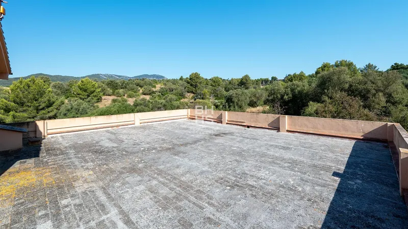 Rustic Finca for sale in Establiments — photo 3