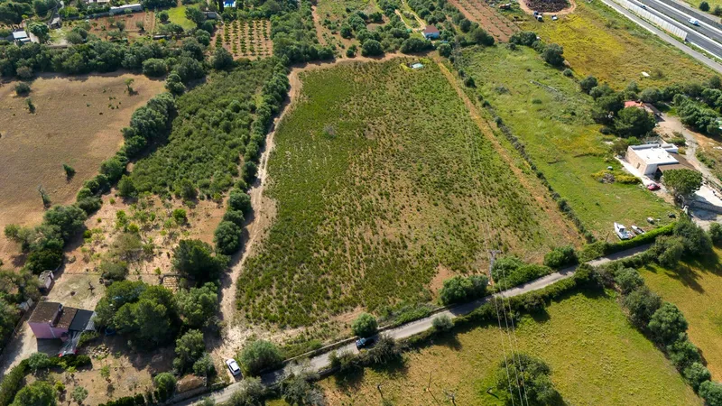 Rustic plot with project and favorable resolution in Llucmajor — photo 6