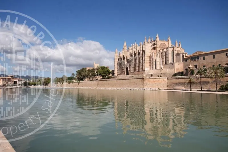 251013 – Palma Living — photo 2