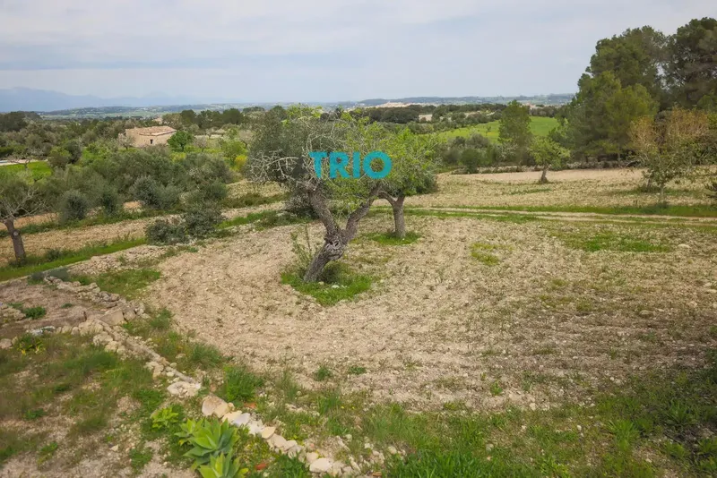 Discover the charm of rural life in Montuïri! We present this rustic finca to renovate, a peaceful refuge with a strategic location near the town center. — photo 11