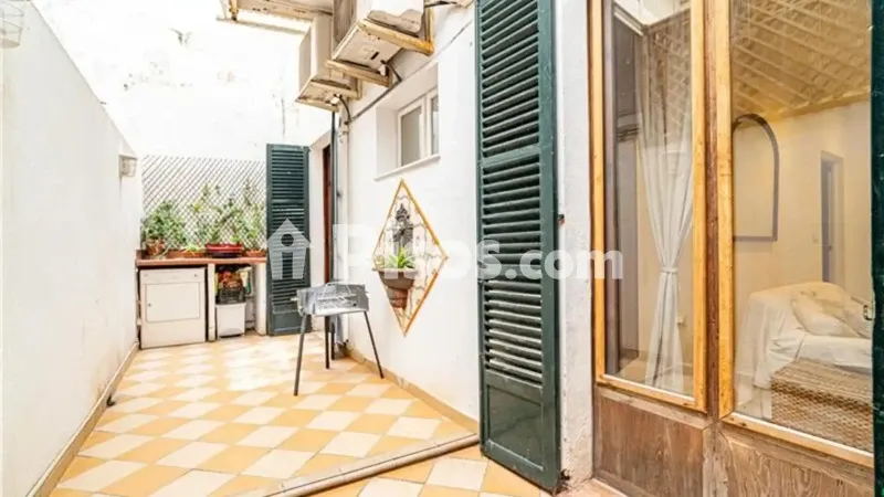 Apartment in La Seu — photo 2