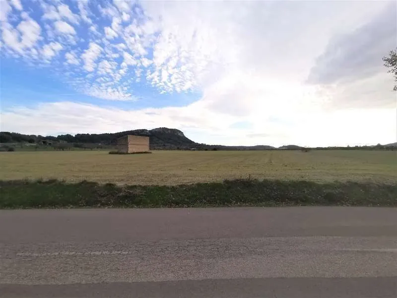 2 plots with 31400m2 buildable in Sineu — photo 2