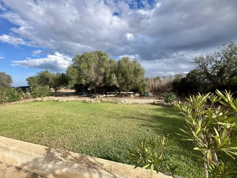 Rustic Finca 4 bedrooms + 1 exterior, from s'Alqueria Blanca to Mondragó — photo 10