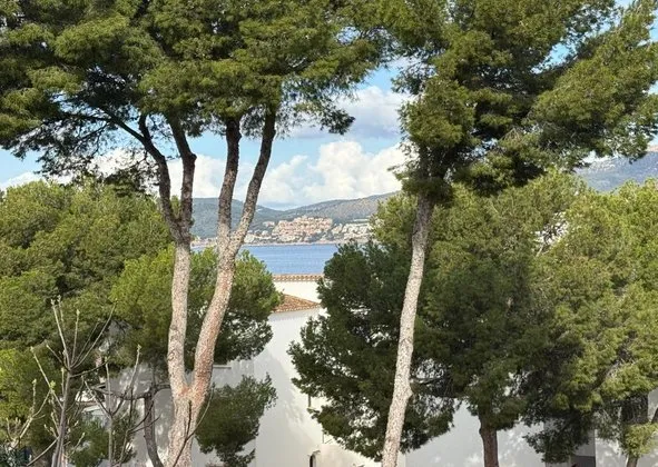 Flat / apartment in Avenida del Rei Jaume I, Santa Ponça, Calvià — photo 1