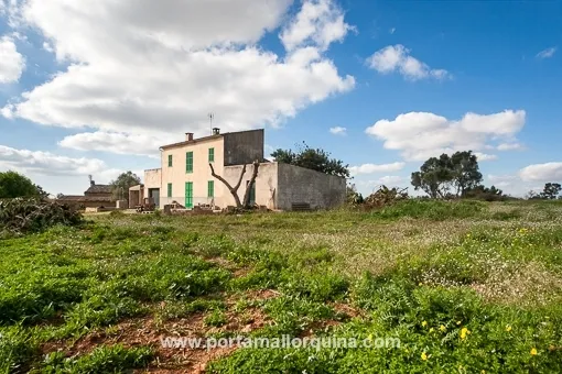 Llucmajor, spacious finca with 3 independent plots near Llucmajor — photo 2