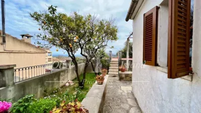 House in Selva — photo 5