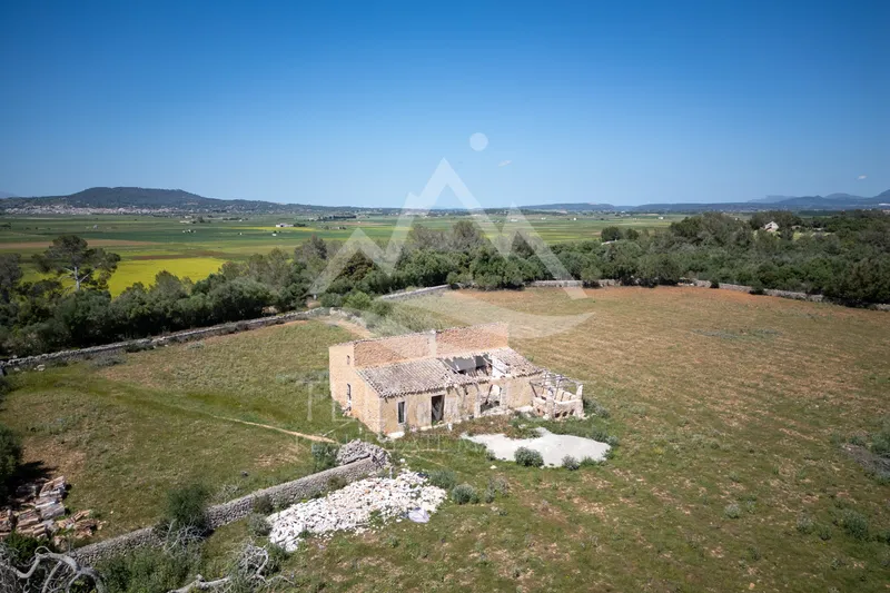 Old finca to renovate between Felanitx and Vilafranca — photo 3