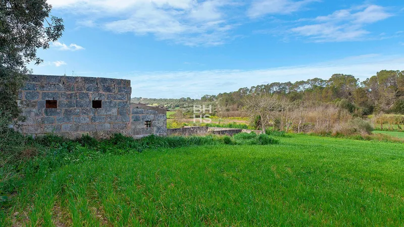 Country plot for sale in Muro — photo 8